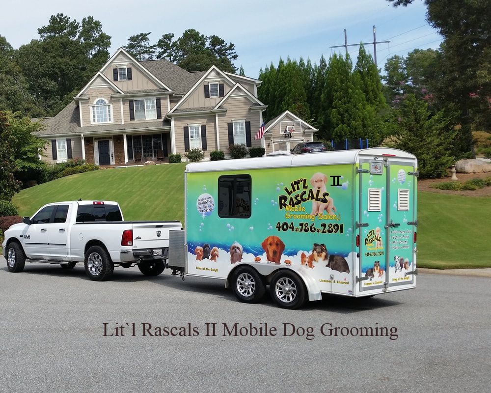 mobile dog groomers by me